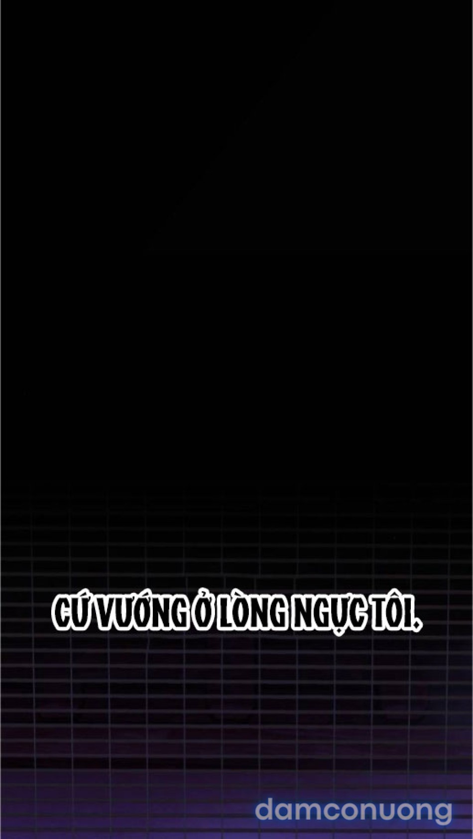 Chiếm Hữu 