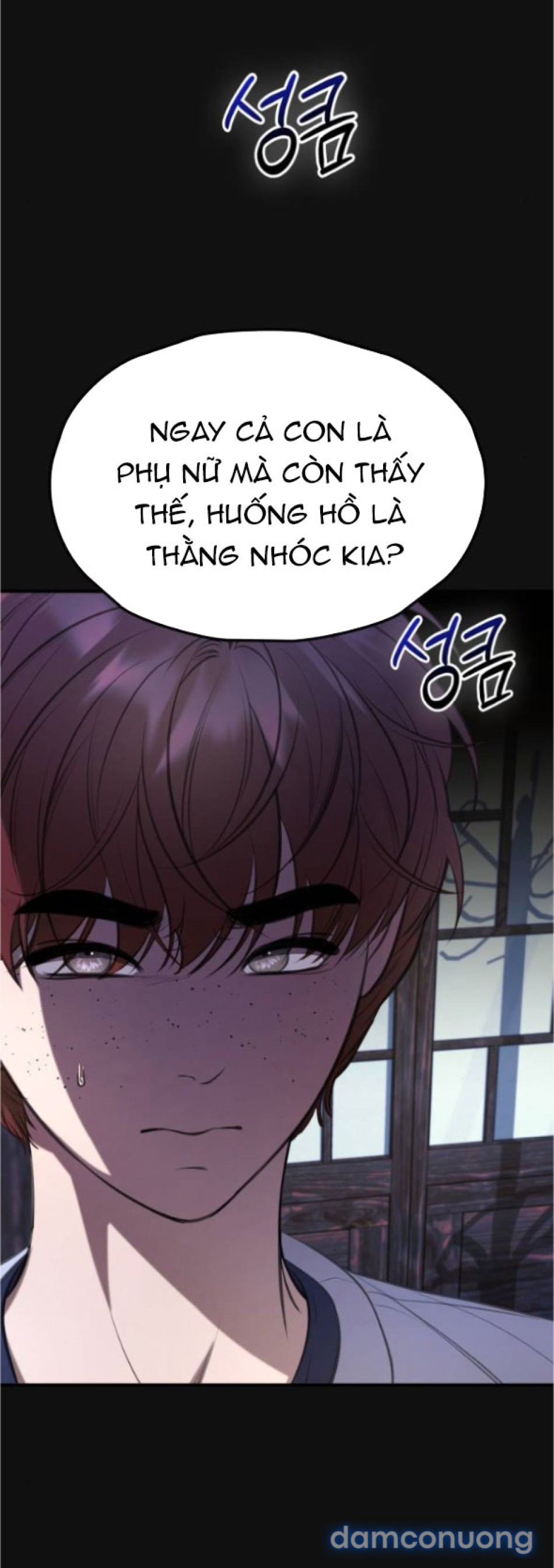 Chiếm Hữu 