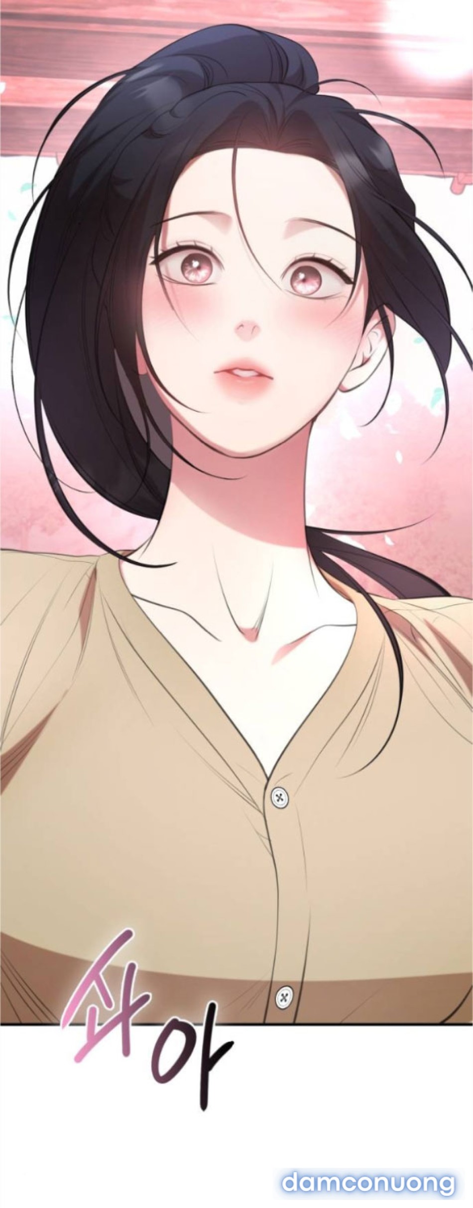 Chiếm Hữu 