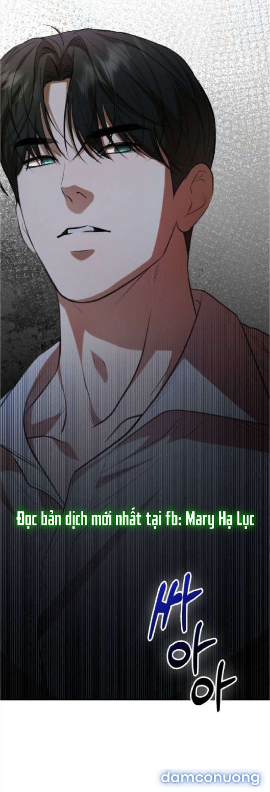 Chiếm Hữu 