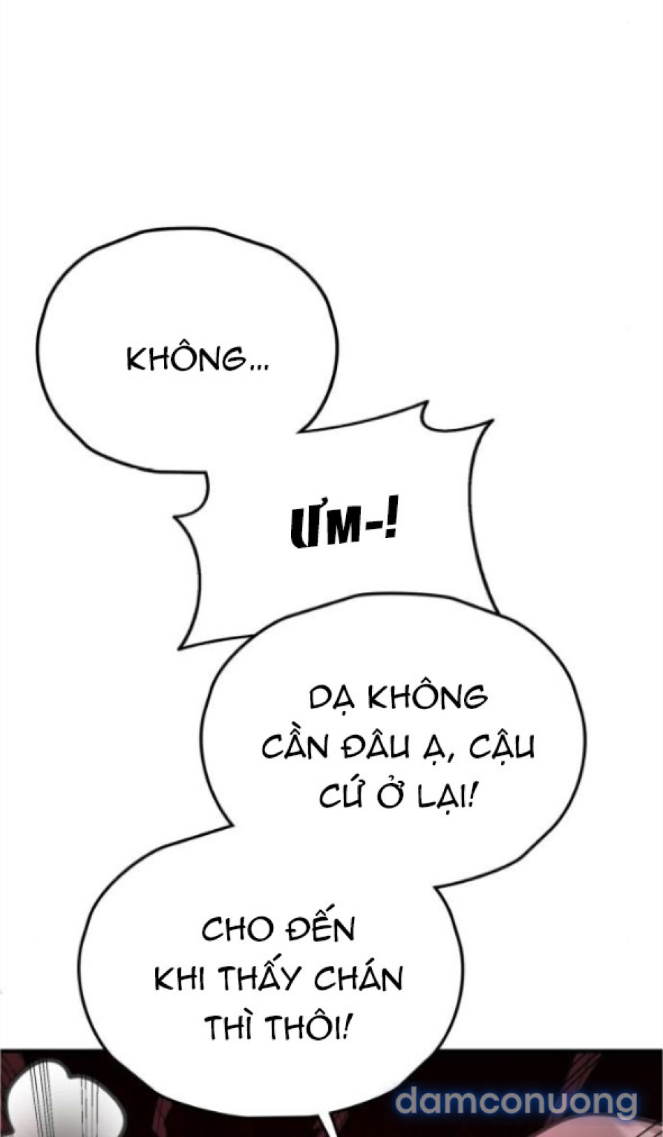 Chiếm Hữu 