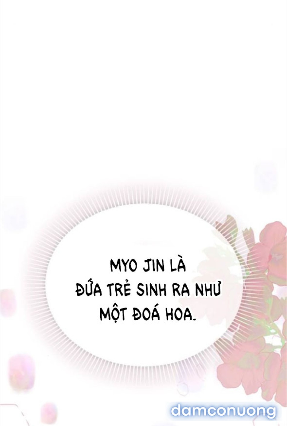 Chiếm Hữu 