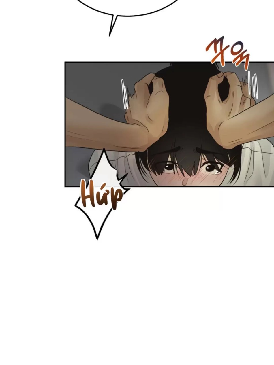 [18+] HÃY TRỞ THÀNH GIA ĐÌNH CỦA TÔI 