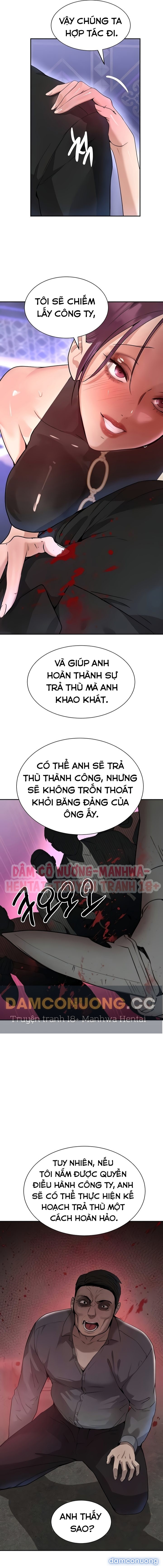 Con gái của Boss 