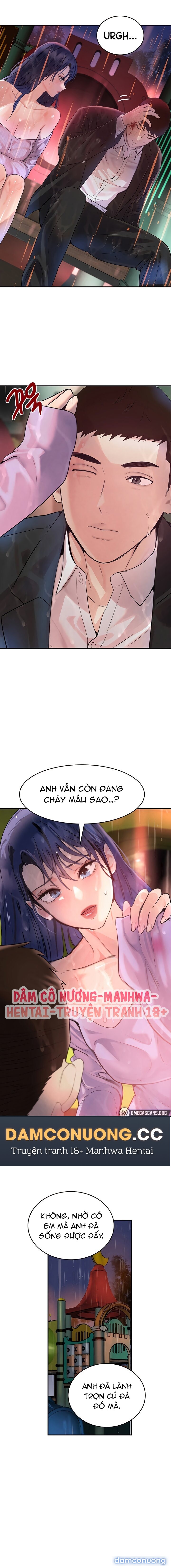 Con gái của Boss 