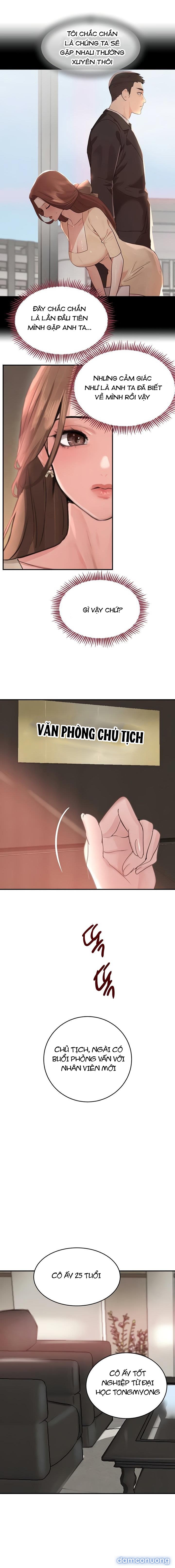 Con gái của Boss 
