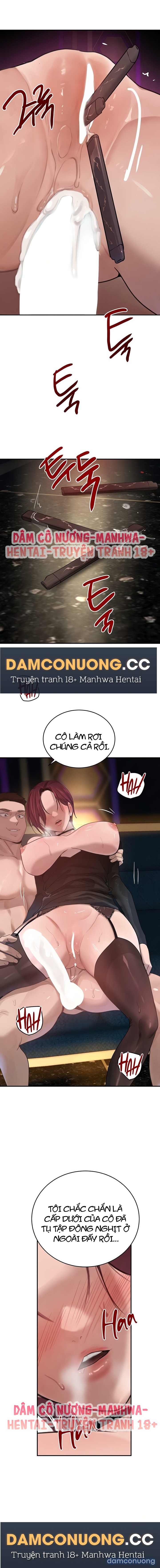 Con gái của Boss 