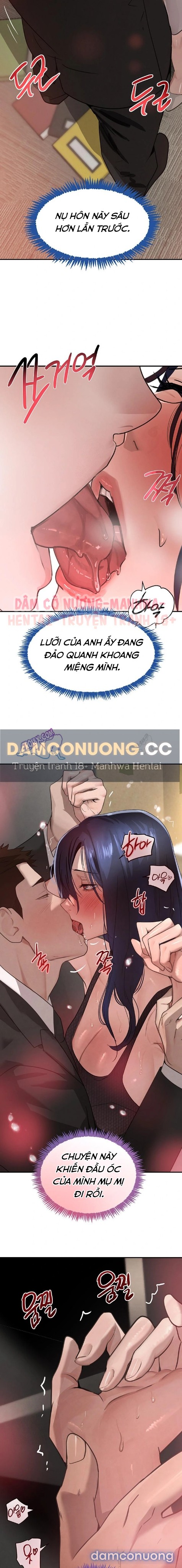 Con gái của Boss 