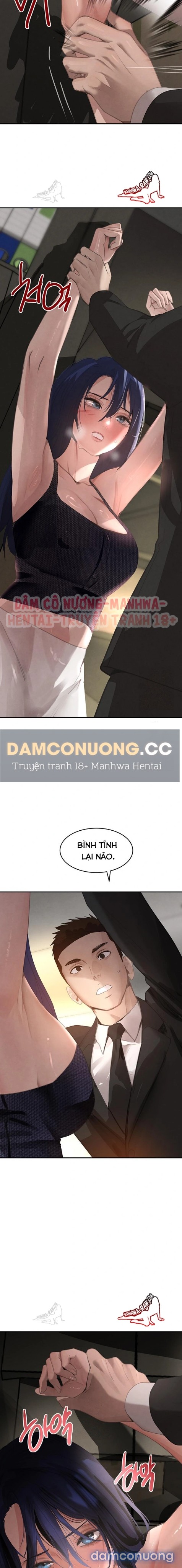 Con gái của Boss 