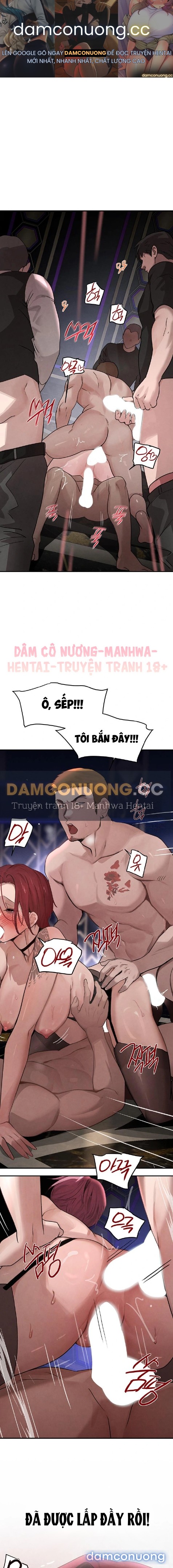 Con gái của Boss 