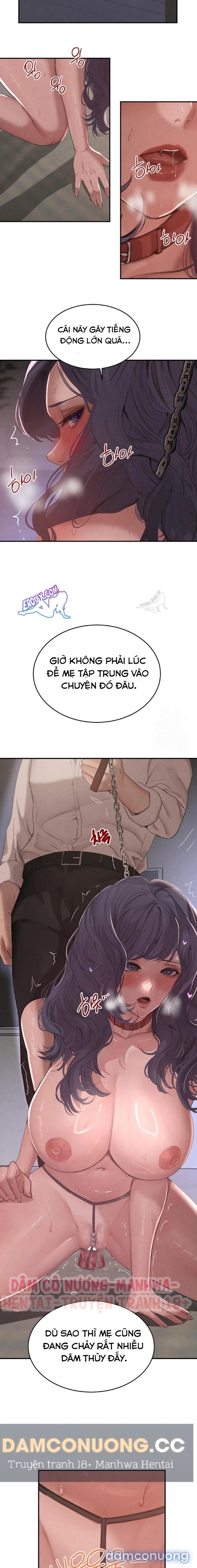 Con gái của Boss 