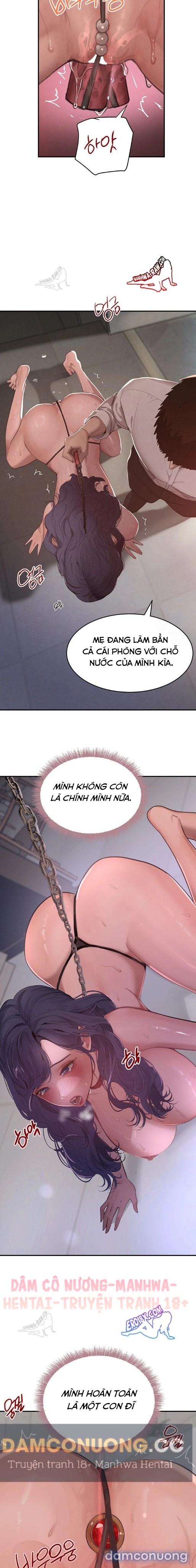 Con gái của Boss 