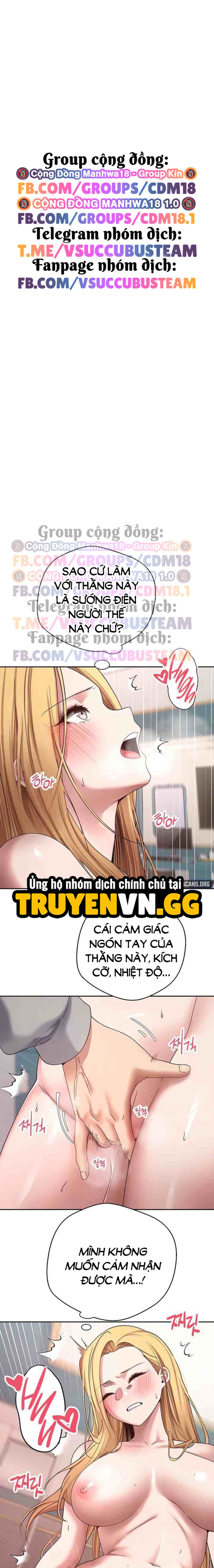 Cú Lội Ngược Dòng Cùng Crypto 