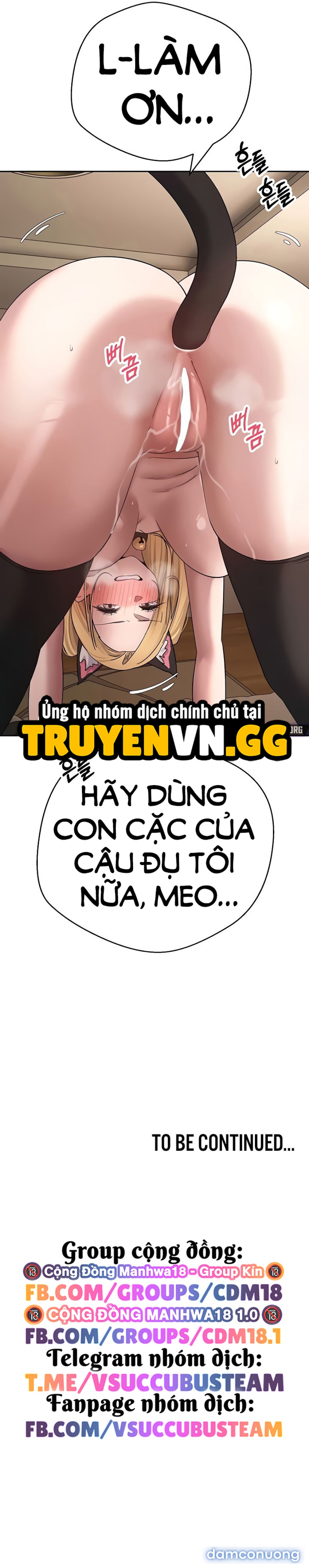 Cú Lội Ngược Dòng Cùng Crypto 