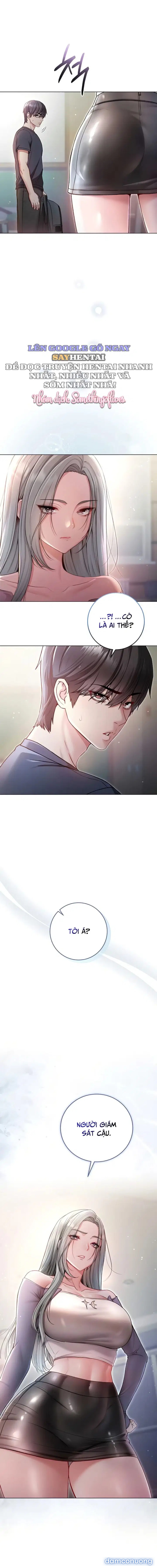 Tôi Là Vampire 