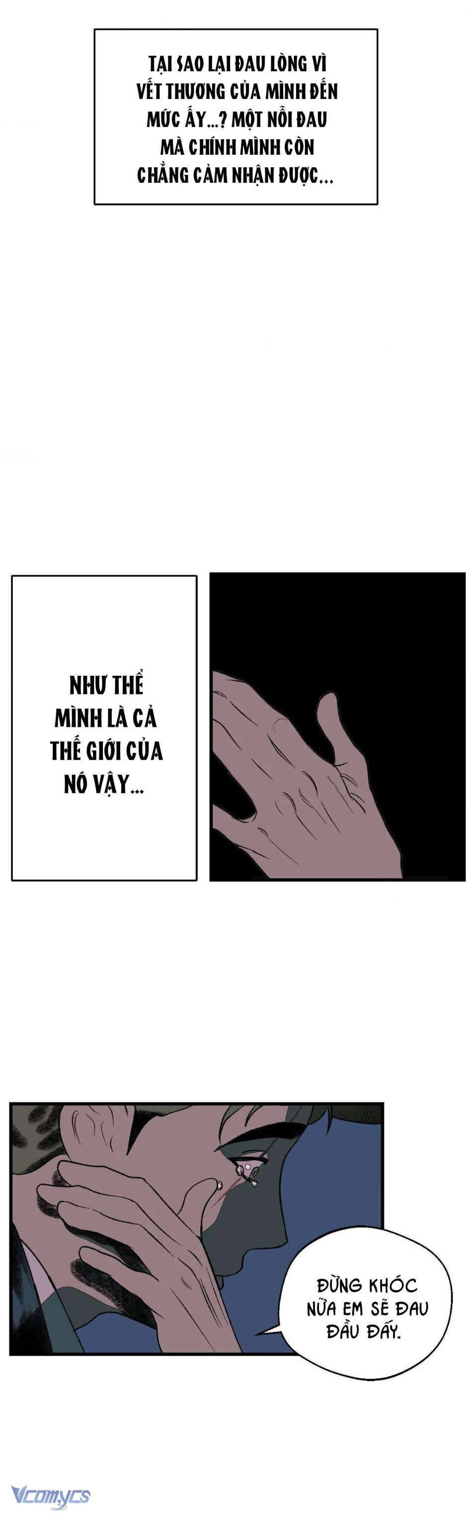 Melt - Phước Lành 