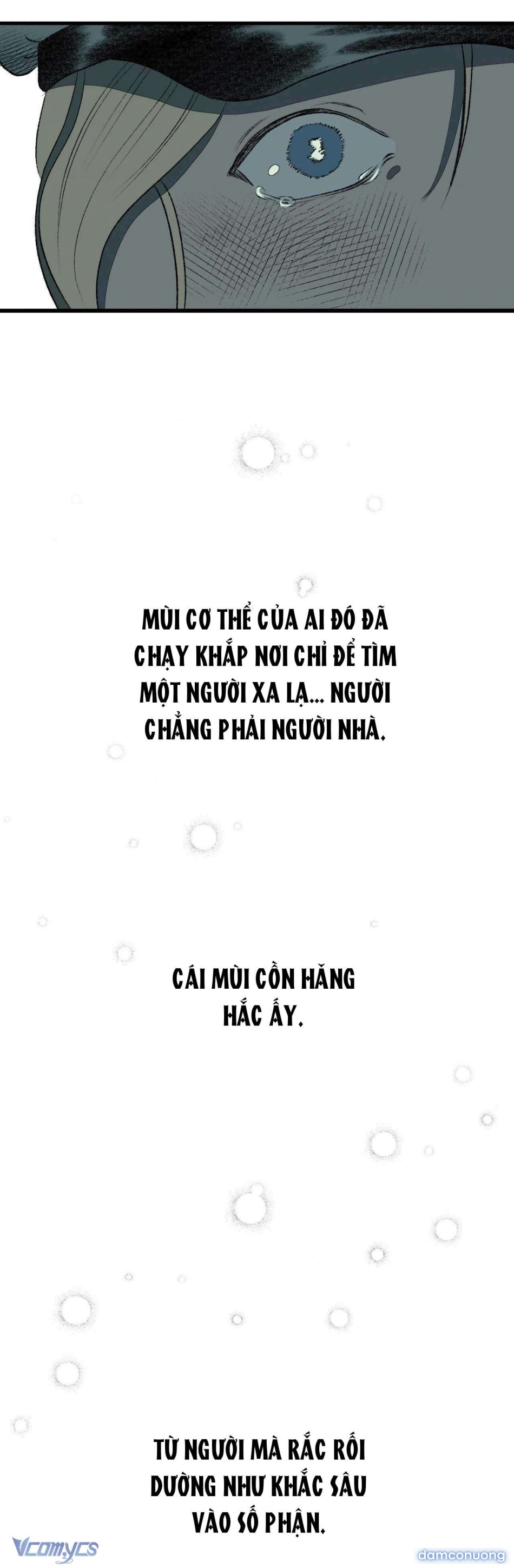 Melt - Phước Lành 