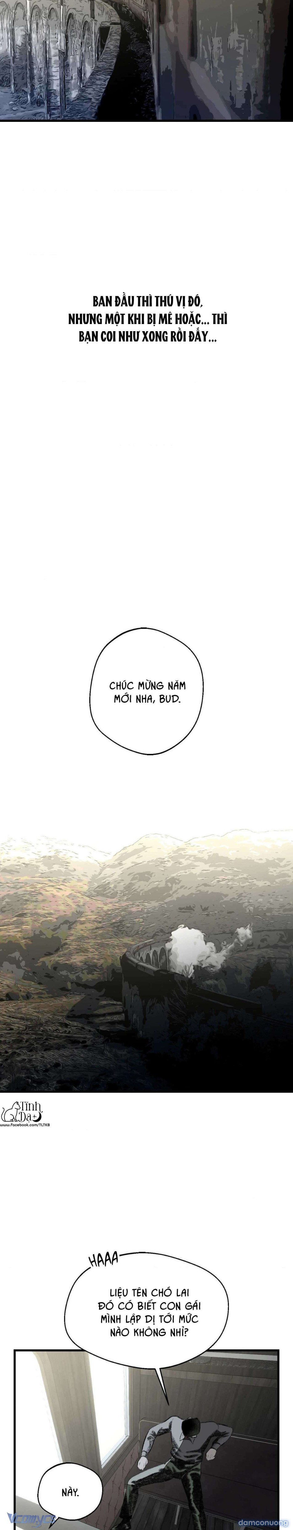 Melt - Phước Lành 