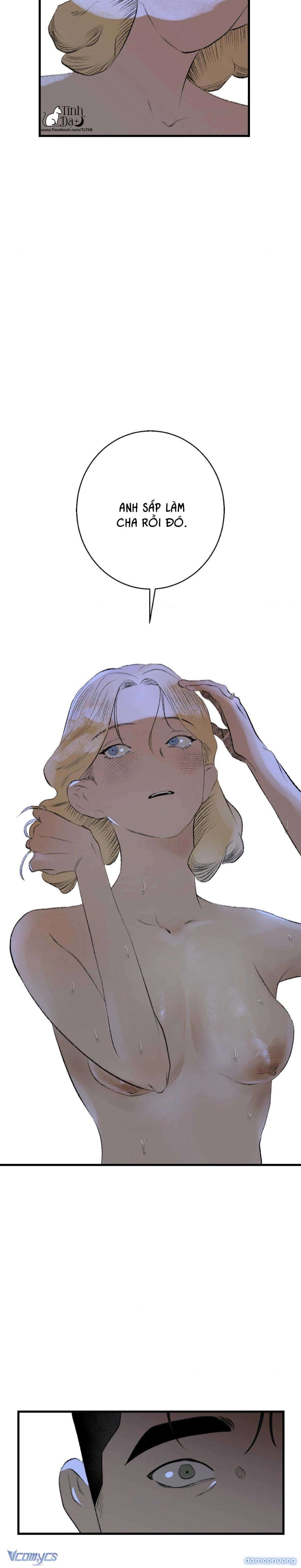 Melt - Phước Lành 
