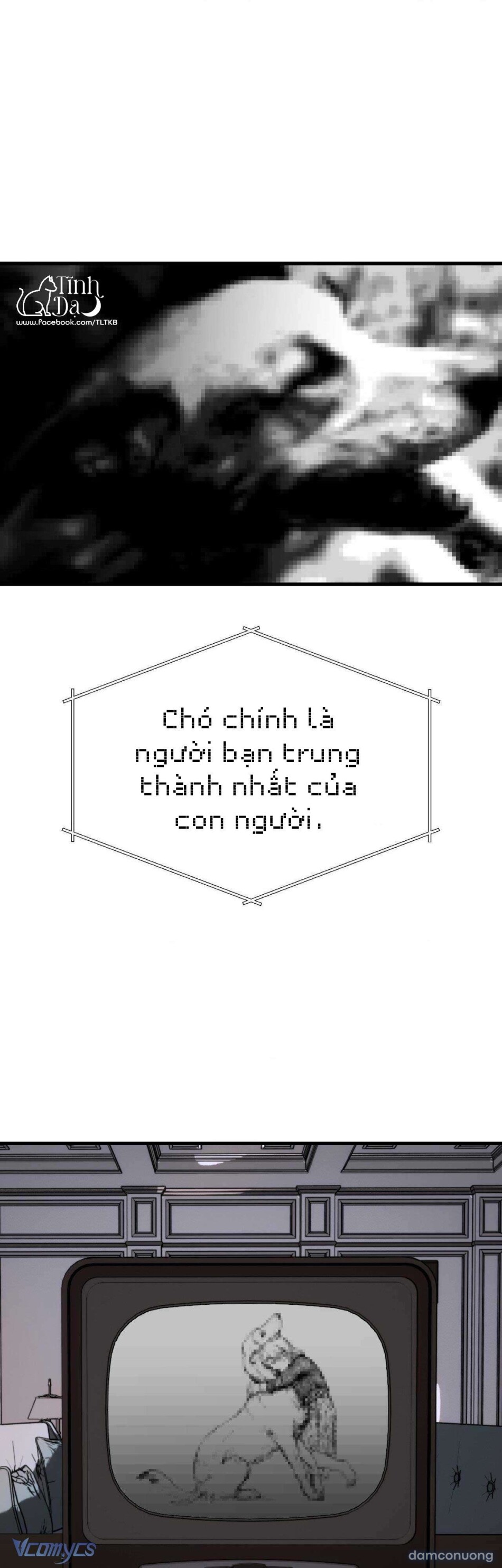 Melt - Phước Lành 