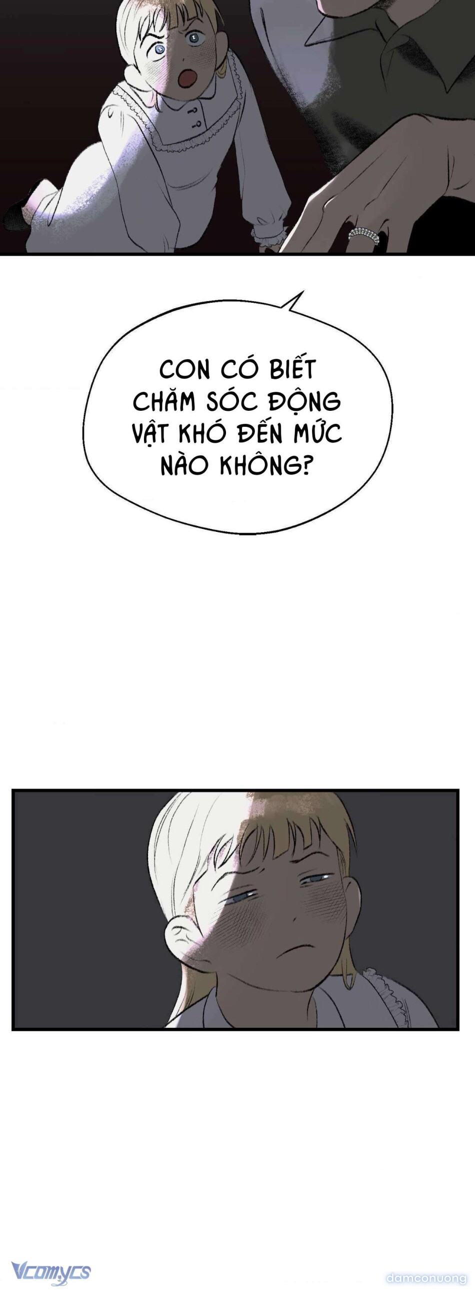 Melt - Phước Lành 