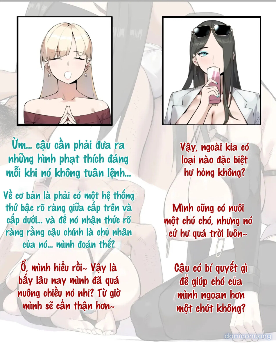 Tiệc Trà Của Hội Chị Em 
