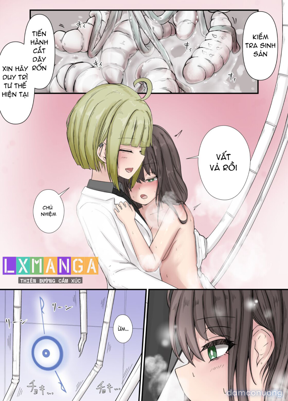 After report 5_02 