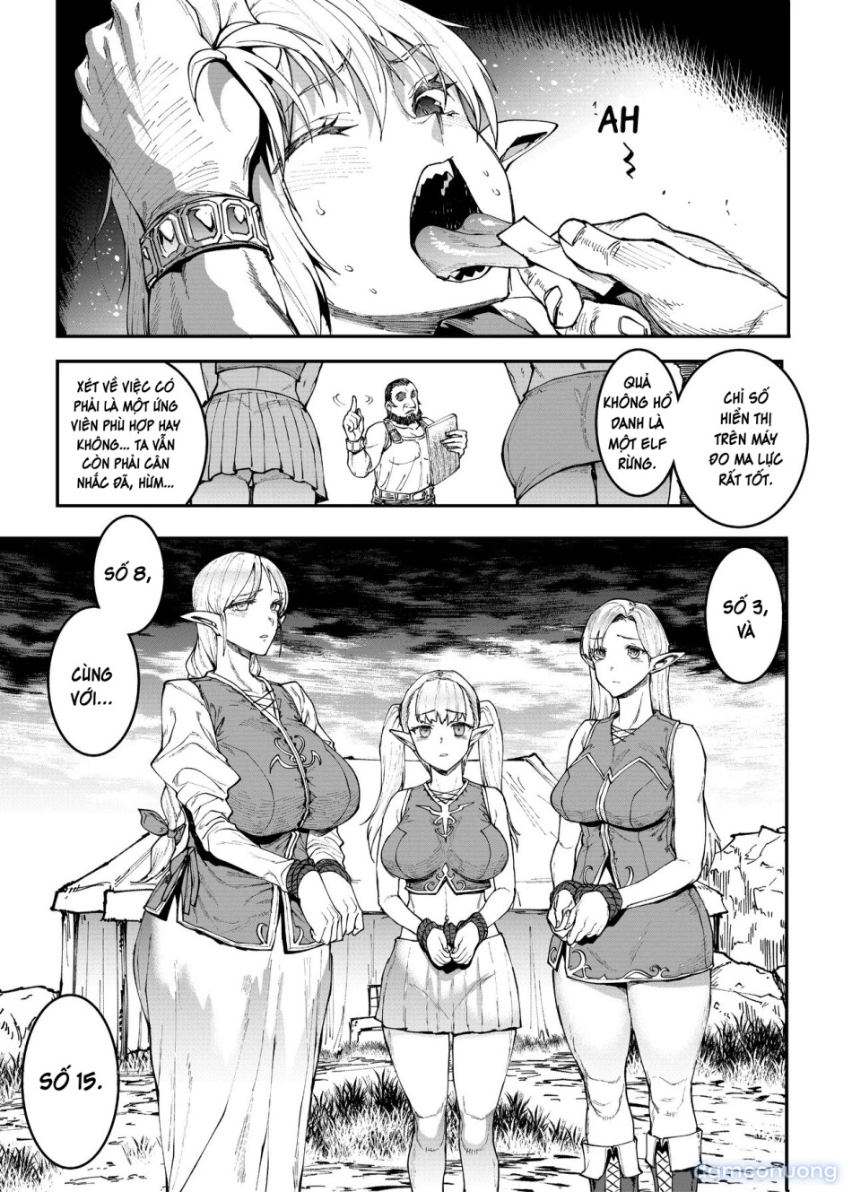 ELVEN BIRTH 