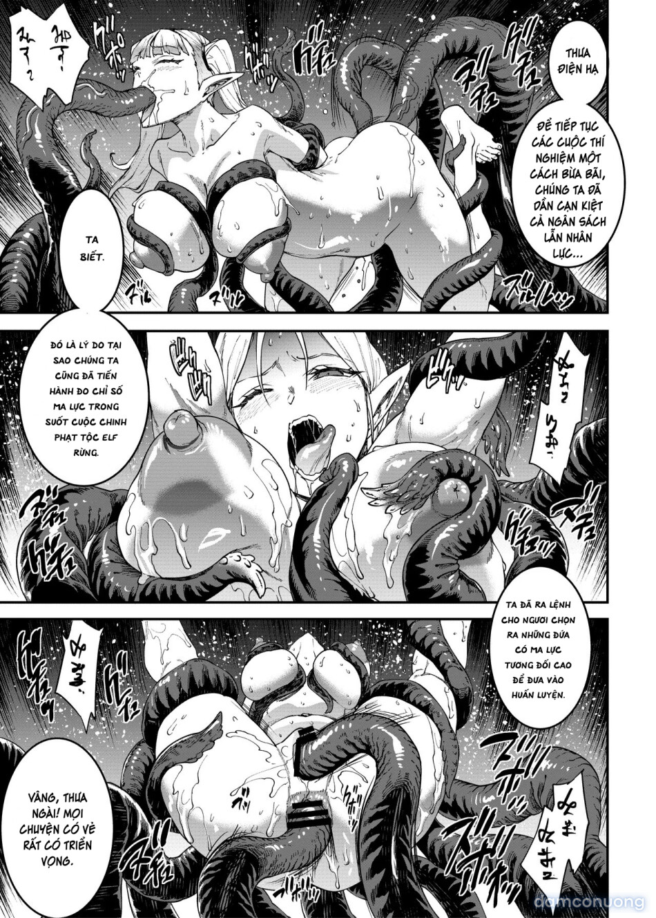 ELVEN BIRTH 
