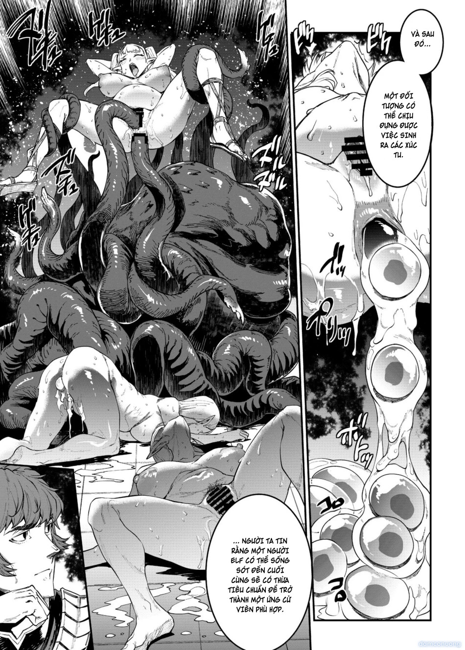 ELVEN BIRTH 