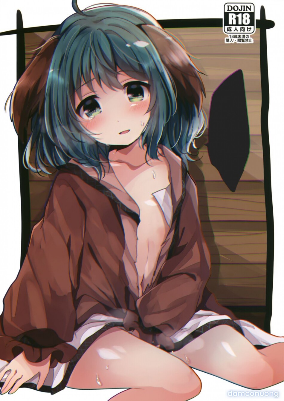 Ningen Hiroimashita (Touhou Project) 