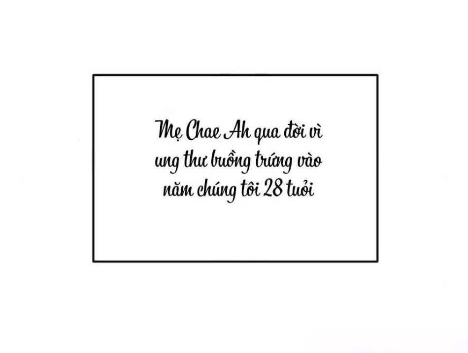 Cẩn Thận Va Phải Tình Yêu 