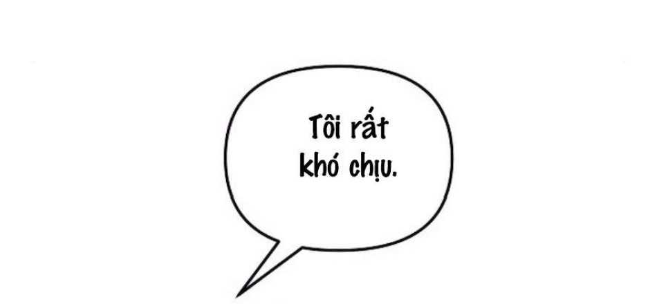 Cẩn Thận Va Phải Tình Yêu 