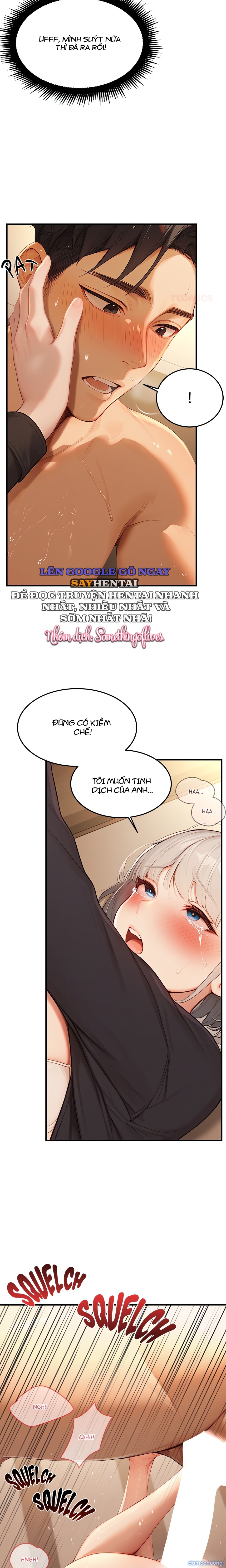 Ông Hoàng Của Sự Chú Ý 