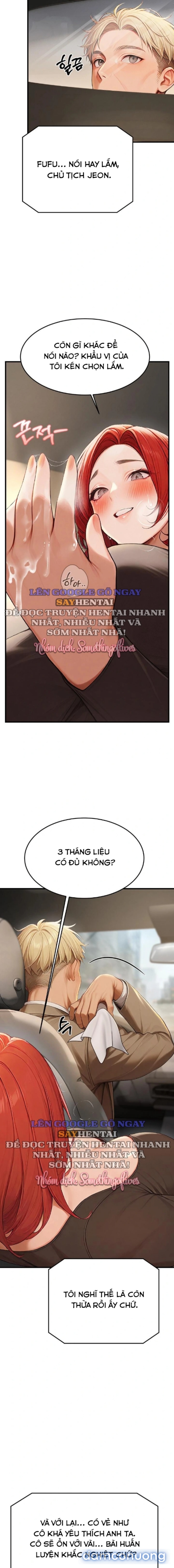 Ông Hoàng Của Sự Chú Ý 