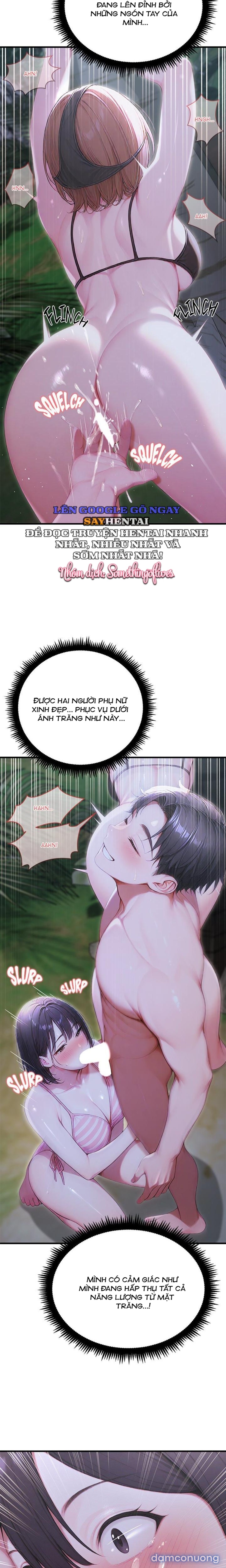 Ông Hoàng Của Sự Chú Ý 