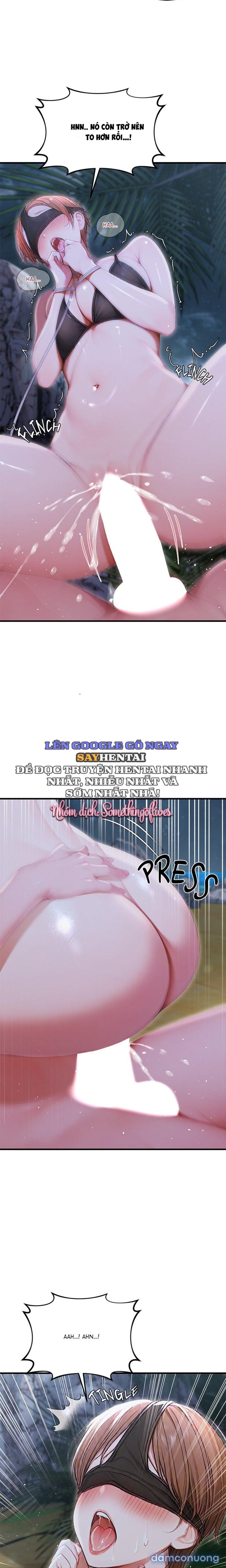 Ông Hoàng Của Sự Chú Ý 