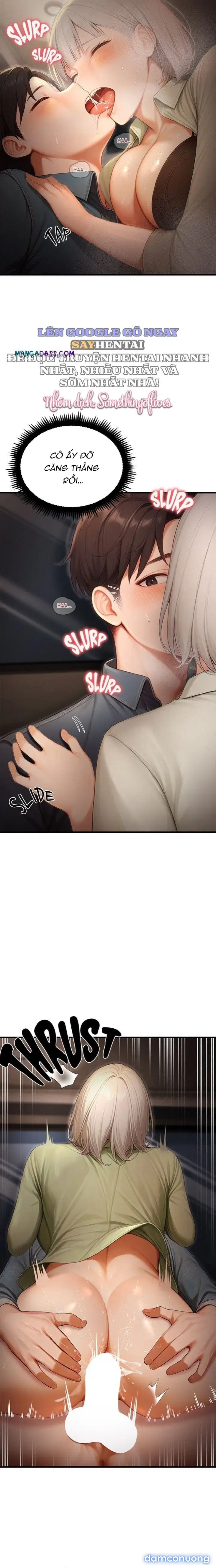 Ông Hoàng Của Sự Chú Ý 