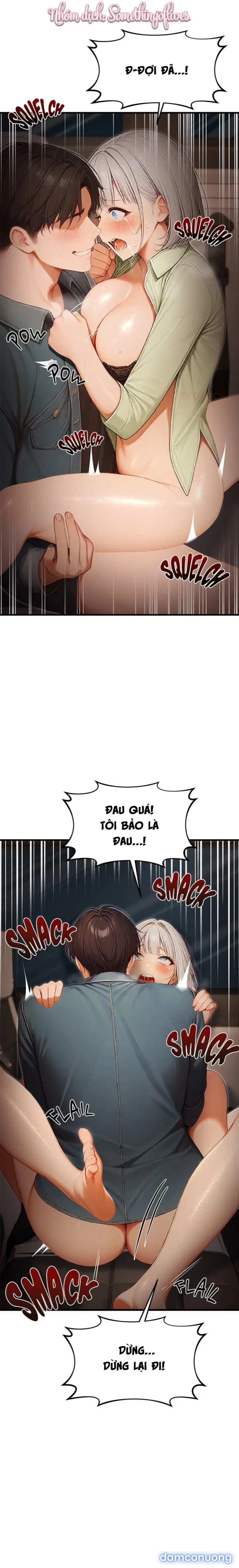 Ông Hoàng Của Sự Chú Ý 