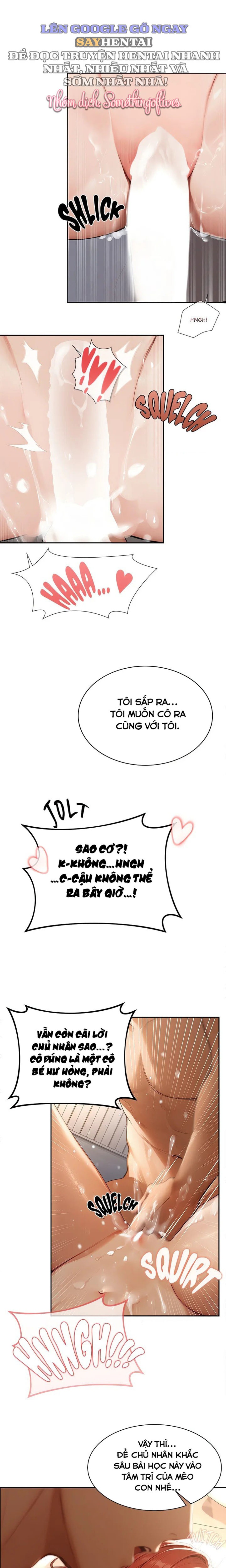 Ông Hoàng Của Sự Chú Ý 
