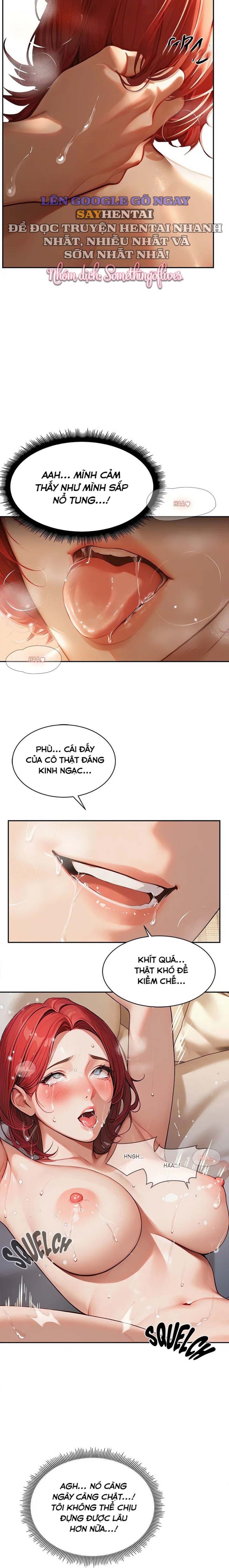 Ông Hoàng Của Sự Chú Ý 