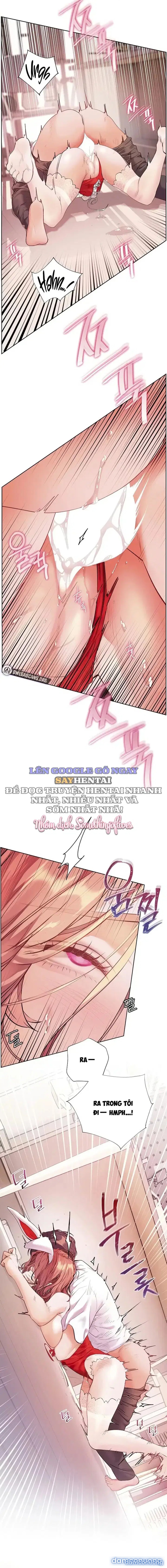 Nỗ lực của giáo viên 
