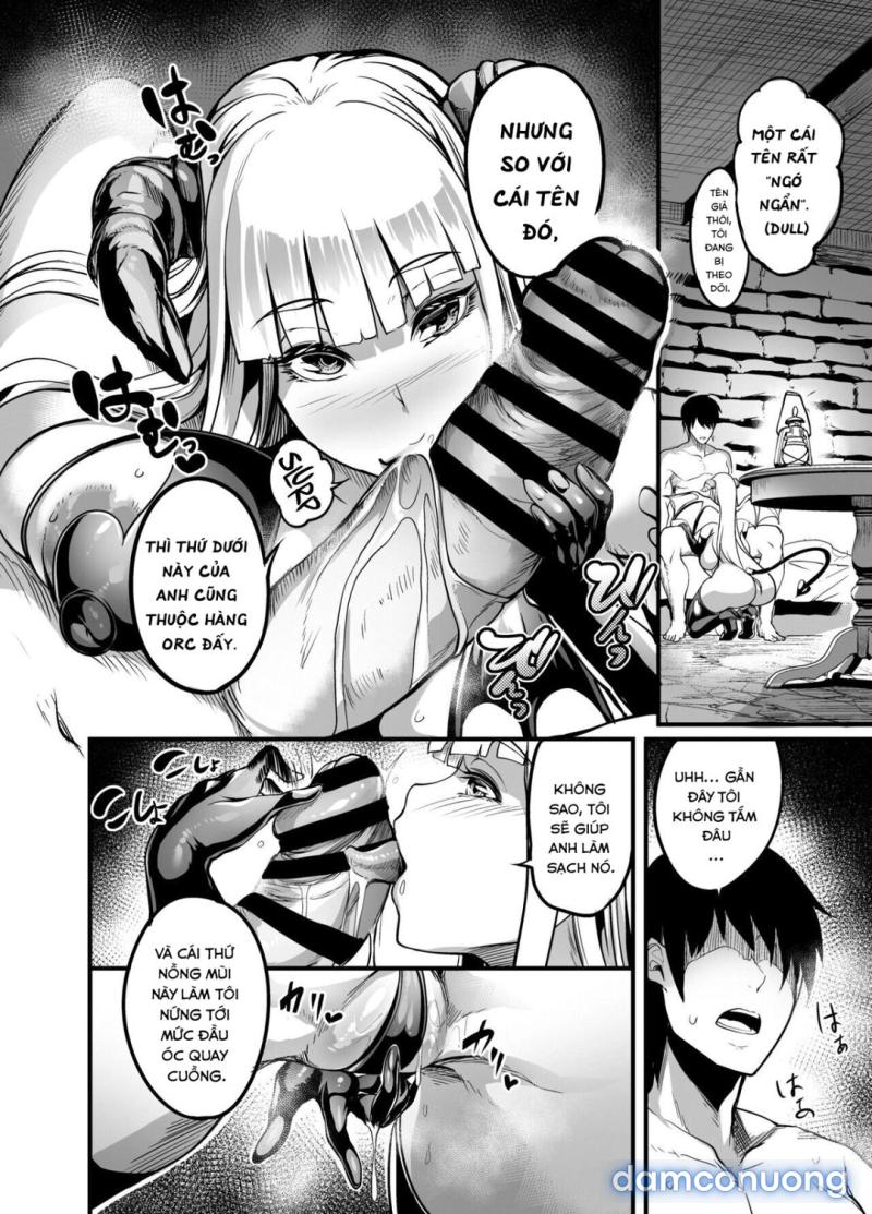Chào mừng đến phố succubus 