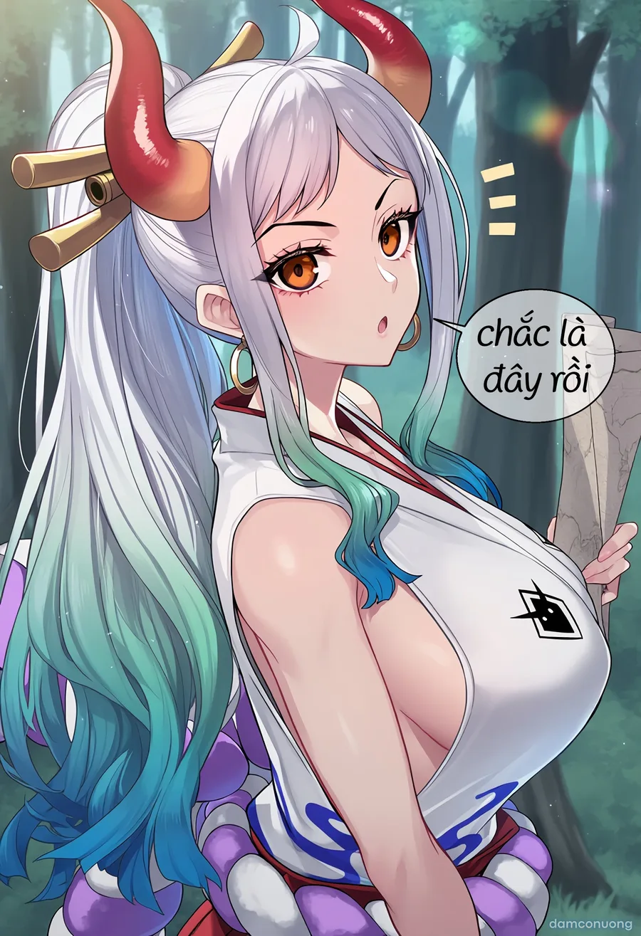 One Piece [series truyện ngắn] 