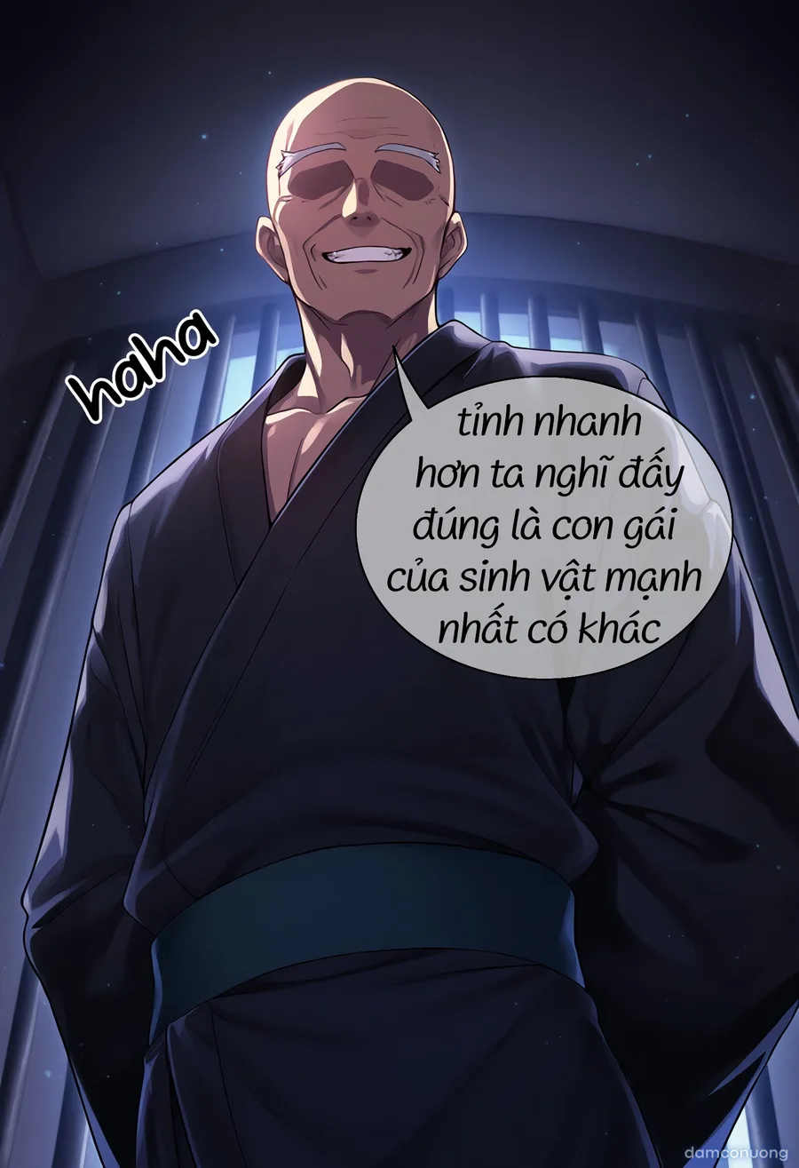 One Piece [series truyện ngắn] 