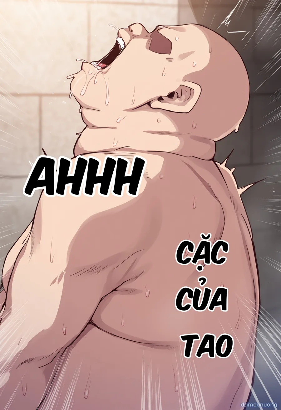 One Piece [series truyện ngắn] 