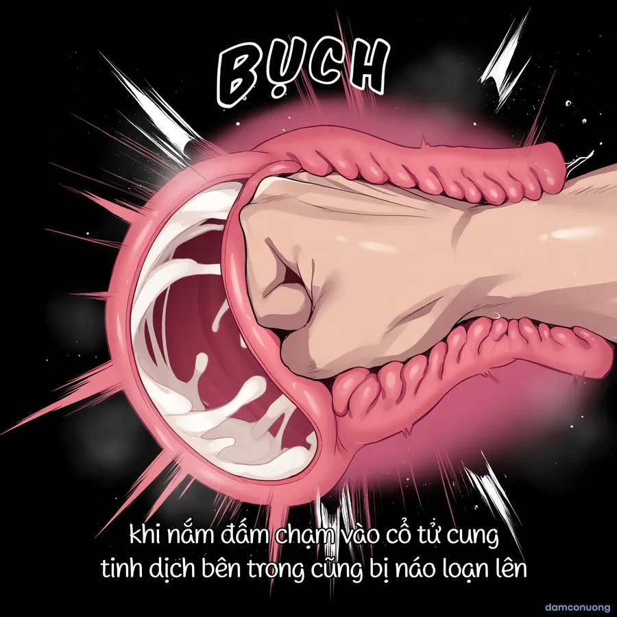 One Piece [series truyện ngắn] 