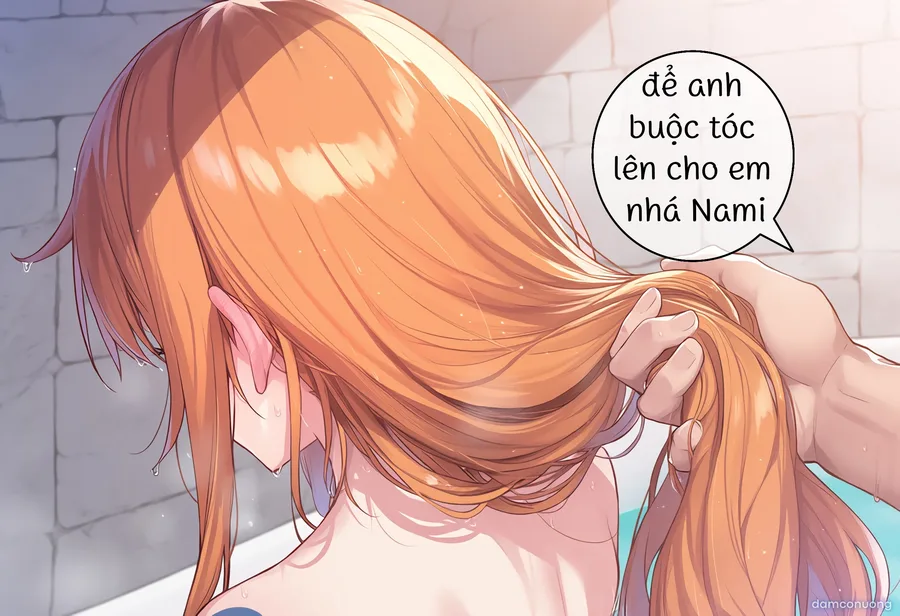 One Piece [series truyện ngắn] 