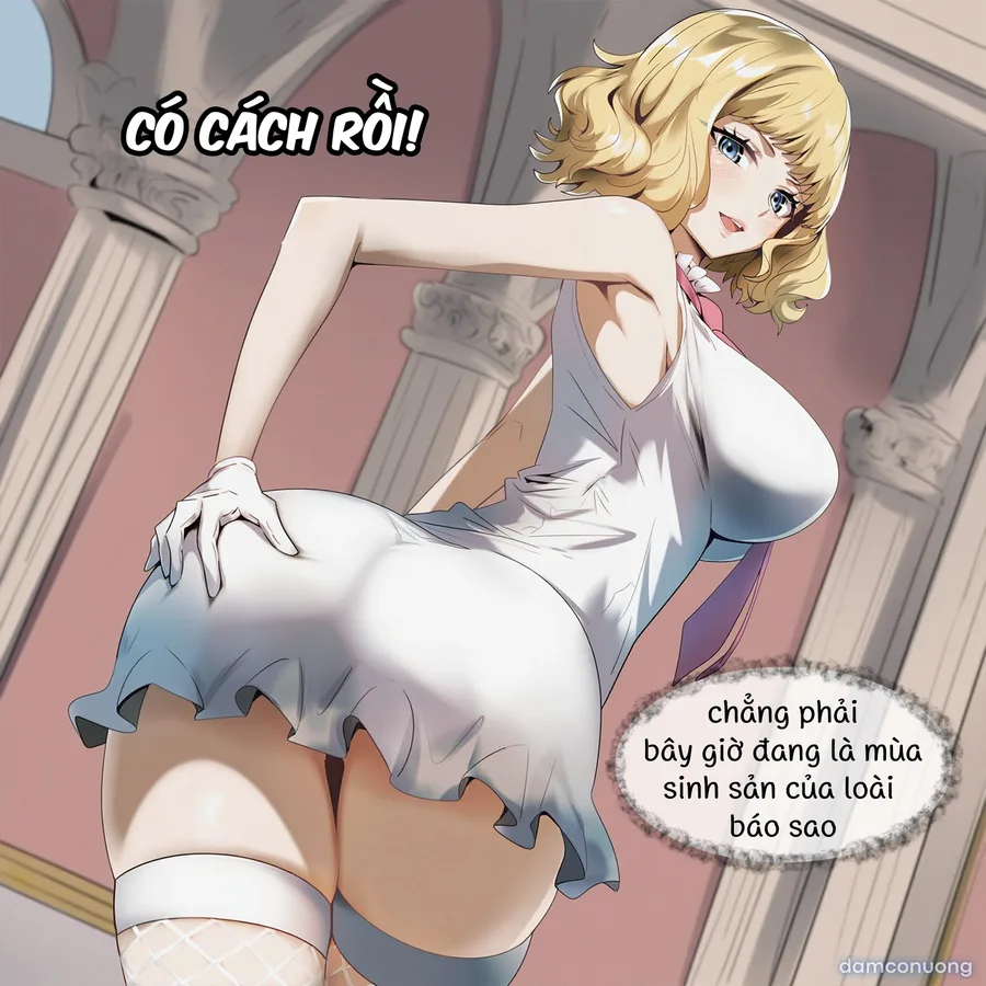 One Piece [series truyện ngắn] 