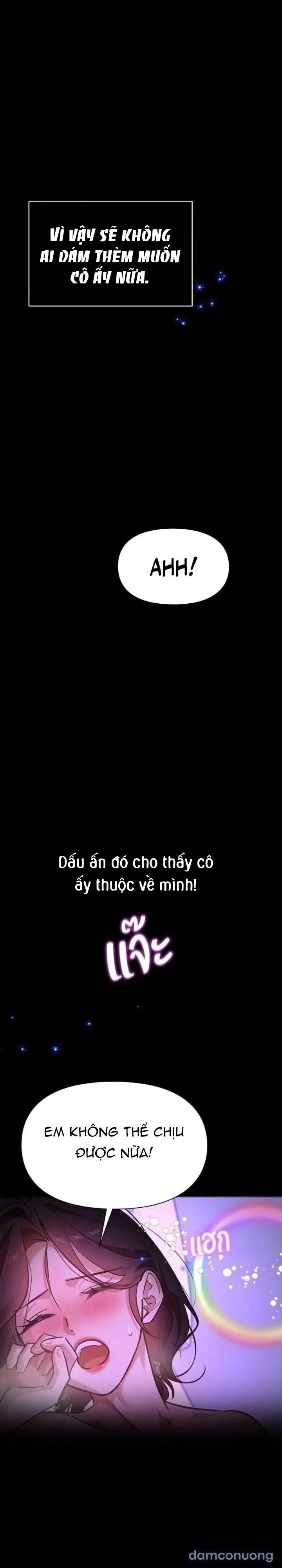 Vị Khách Trong Đêm 
